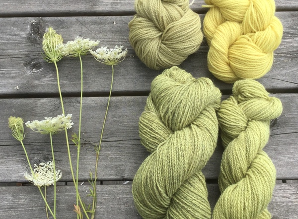 Mirja's Wool Play