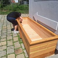 Gallery Foto