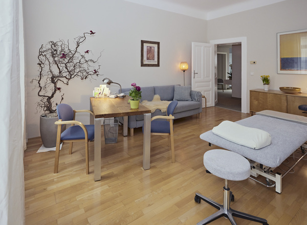 Wunderschöner Praxisraum in 1190 Wien zu vermieten