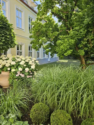 Body and Mind Garden Yoga- und Pilates-Studio – Foto 6