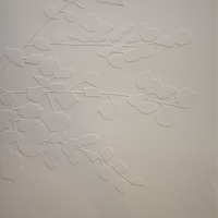 Gallery Foto