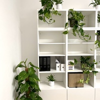 Gallery Foto