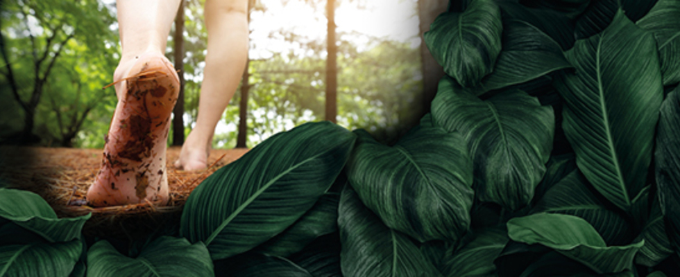 Into The Wild - Back To Our True Nature