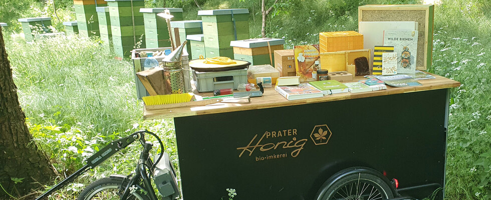 Offener Bienenstock: Prater-Honig 2025