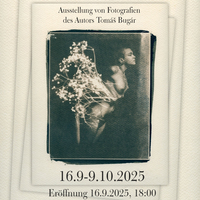 Gallery Foto