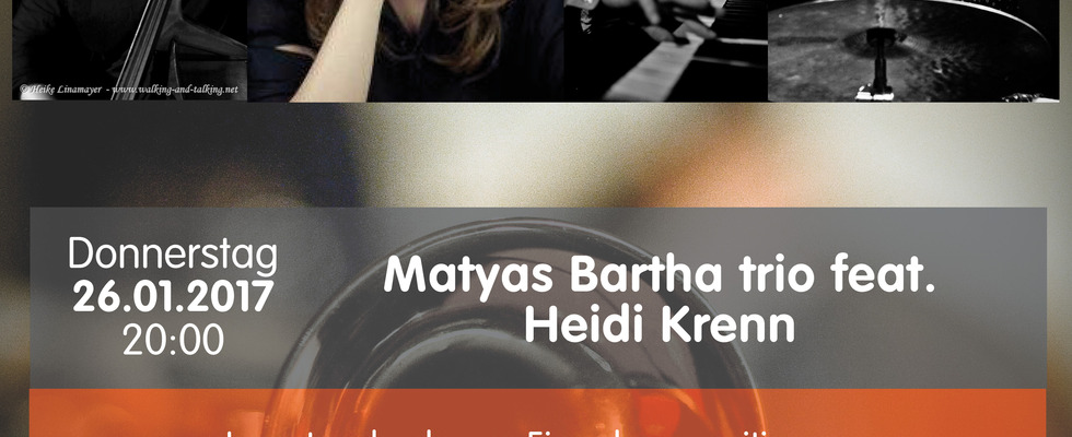 Matyas Bartha trio feat. Heidi Krenn