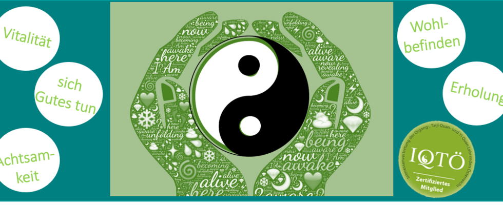 Qigong mit Stephanie im Helmut-Zilk-Park