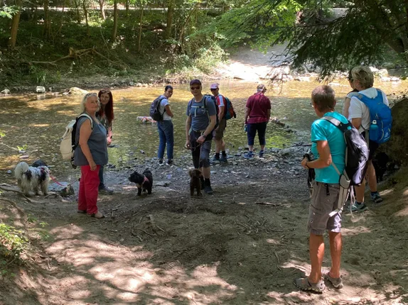 Hundetraining mit Roya – Foto 7