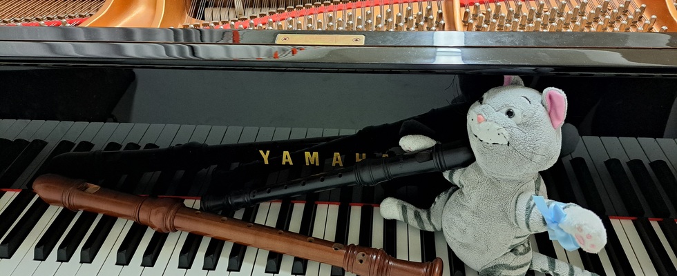 Flöten Tasten Tanzen - Schnupperstunde zum Kurs Elementares Musizieren & Kreativer Kindertanz / Wien 3