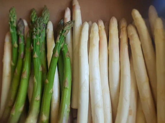 bareFOOD – Foto 4