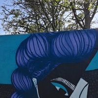 Gallery Foto