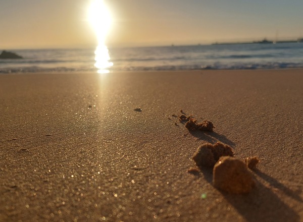 IN VERBINDUNG SEIN | Übergänge