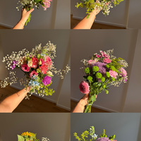 Gallery Foto