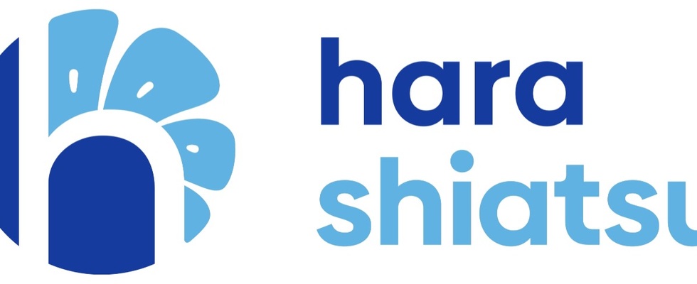 Hara Shiatsu Schnuppersamstag in der Josefstädter Strasse 5