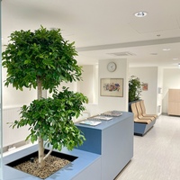 Gallery Foto