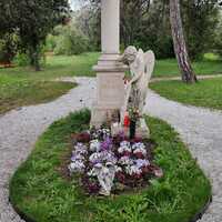 Gallery Foto