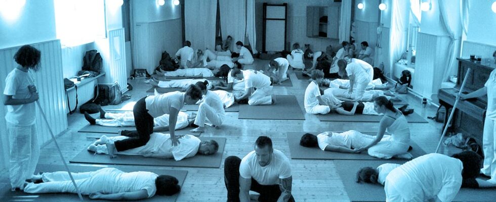 Kostenlose Hara Shiatsu Informationsabende