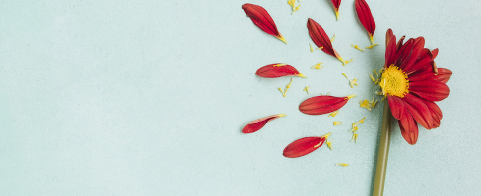 ERNÄHRUNG UND WECHSELJAHRE