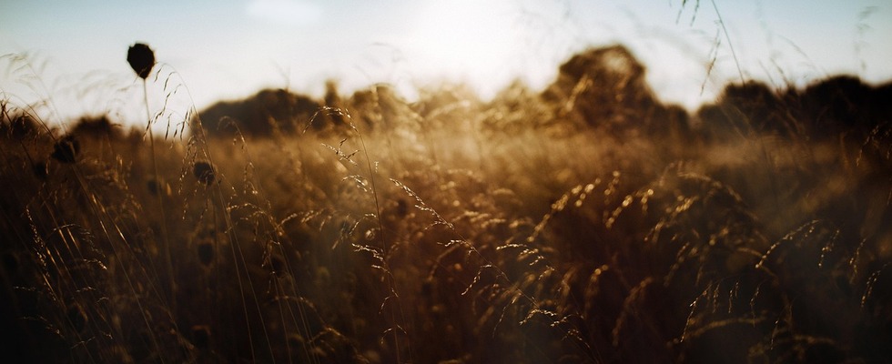 Psychotherapie Mag.a Simone Kekeisen