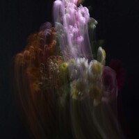 Gallery Foto