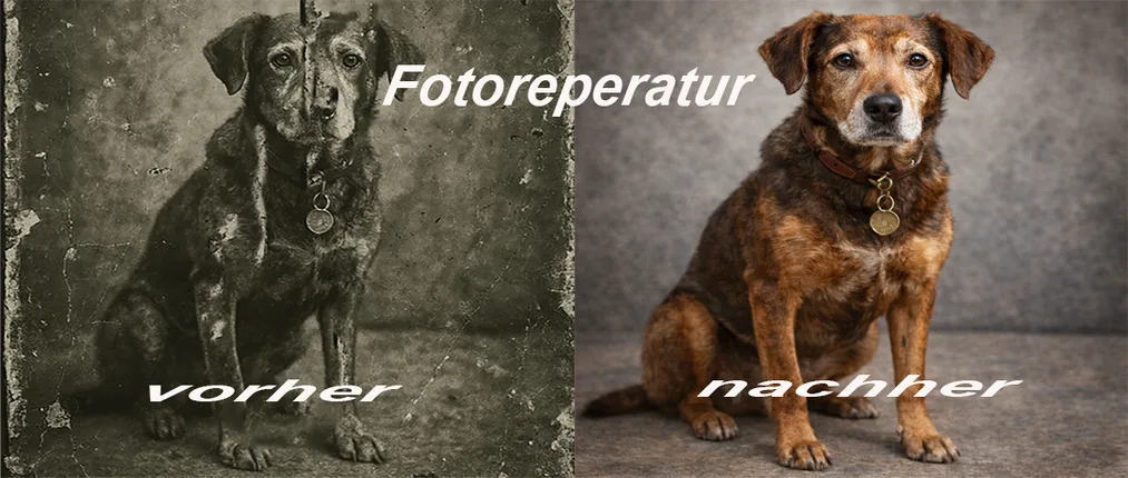 HiPe – Fotoreparatur & Bildbearbeitung – Foto 2