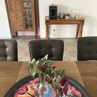 Gallery Foto