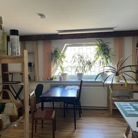 Gallery Foto