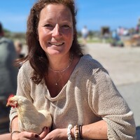 Holistische Therapie für Tiere