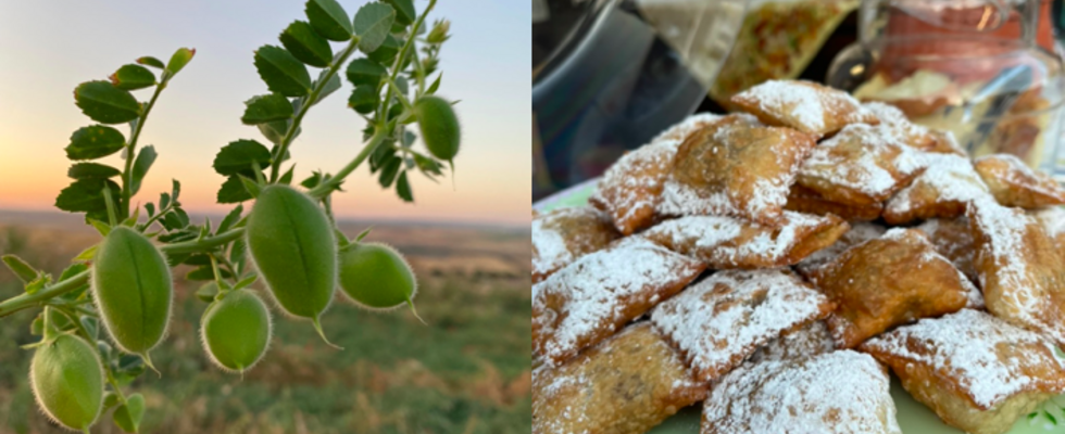 Dolci di Ceci Workshop - Wie man italienische Süßigkeiten aus Kichererbsen herstellt!