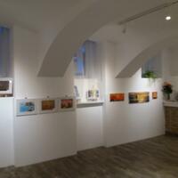Gallery Foto
