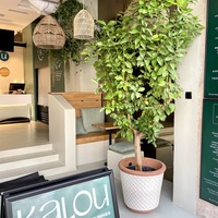 Gallery Foto