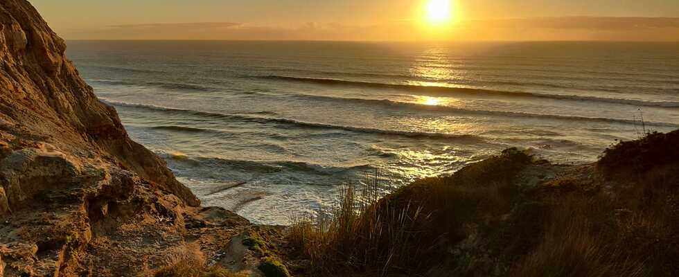 Shiatsu & Waves - Hara Shiatsu Praxis 