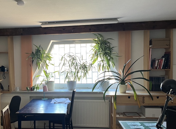 freier Platz in schönem, hellen ~29m² geteilten Atelierraum ab Juni 2026