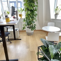 Gallery Foto