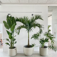 Gallery Foto