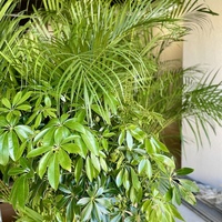 Gallery Foto