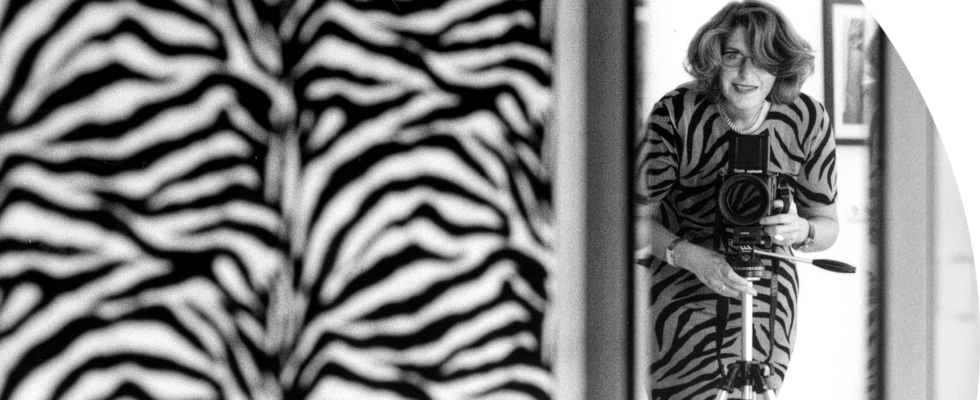 ZEBRA Das ZENTRUM FÜR KLASSISCHE UND MODERNE FOTOGRAFIE