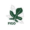 Café Figo