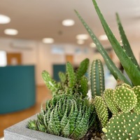 Gallery Foto
