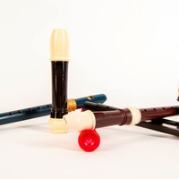 Gallery Foto