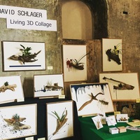 Gallery Foto