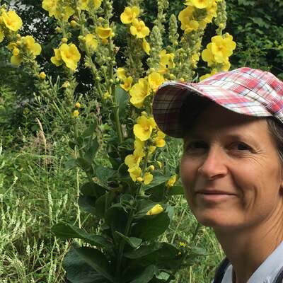 Benötige Hilfe für meine Sichtbarkeit als Kräuterpädagogin mit Angeboten für Kräuterwanderungen und Workshops