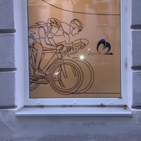 Gallery Foto