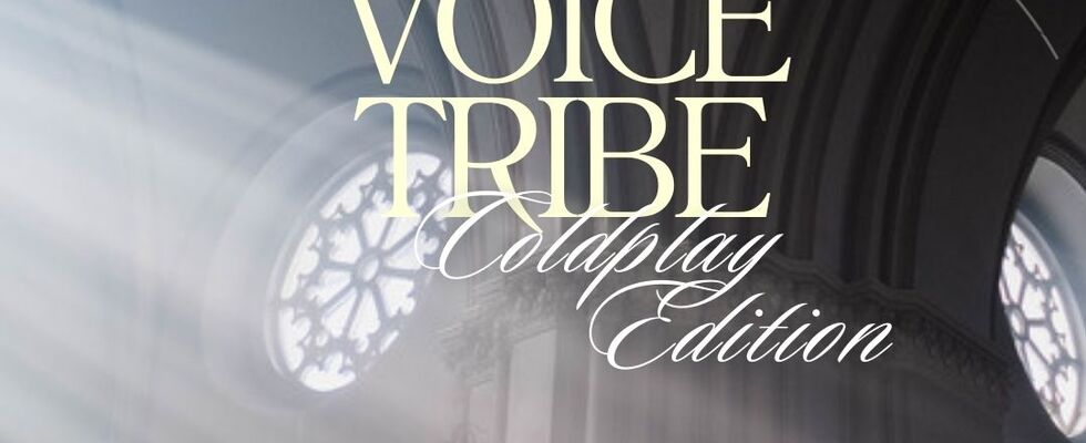 THE VOICE TRIBE - Singcommunity Vienna