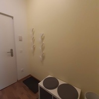 Gallery Foto