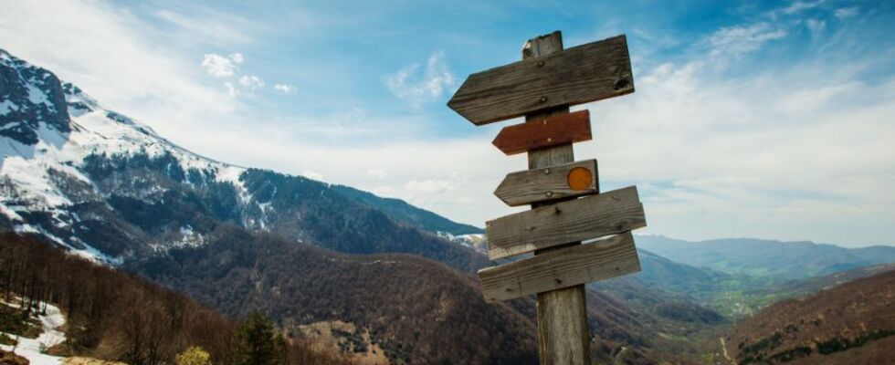 Mediation & Business Coaching
