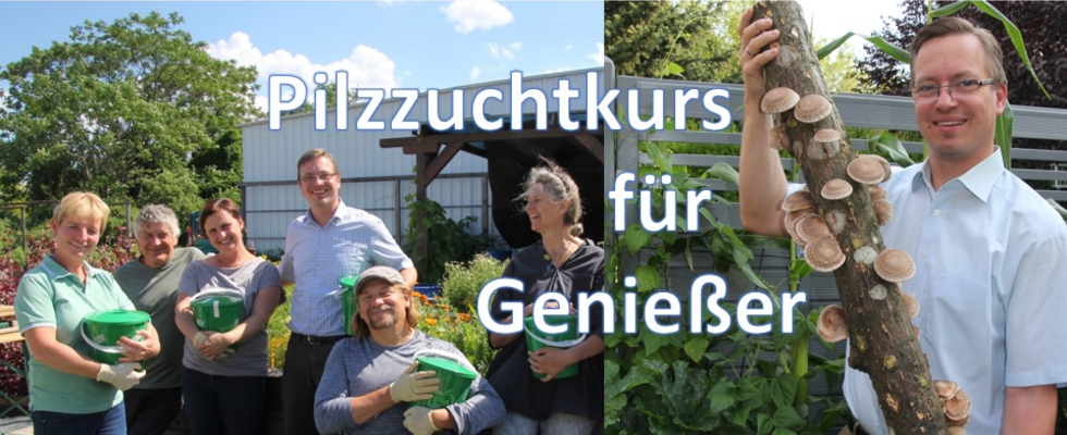 Zuchtpilze mit Heilwirkung