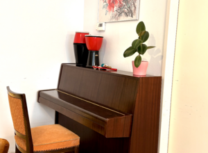 Gallery Foto