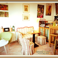 Gallery Foto