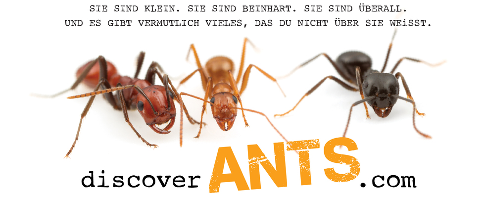 Discover Ants - Ameisen entdecken. Umwelt erleben.